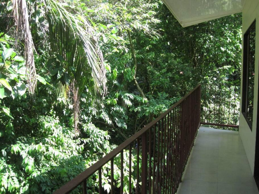 Casa Palmera Cocles, 300M To The Beach Puerto Viejo de Talamanca Luaran gambar